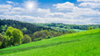 Deutschland Saarland Landschaft mit Viehweide und Mischwald im Frühling bei 66646 Marpingen unter strahlender Sonne 