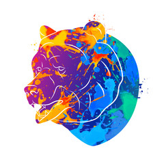 Fototapete - Bear icon Abstract