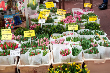 Flower market in Amsterdam city, Netherlands