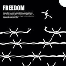 Barbed Wire Where One Of The Knots Flies To Freedom
