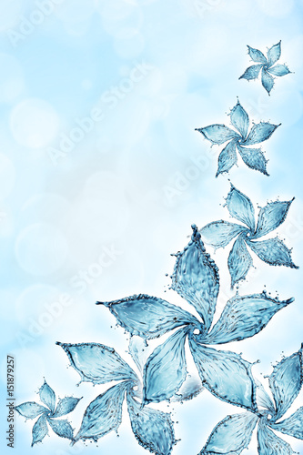 niebieskie-kwiaty