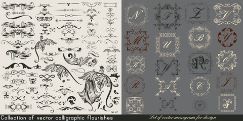 Wall Mural - huge collection or set of vintage vector flourishes and monograms for design