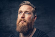 © Fxquadro - Redhead bearded male over grey background.