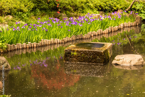 Close Up Of Water Basin And Stepping Stones With Irises In The