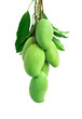 Bunch of green mango on white background