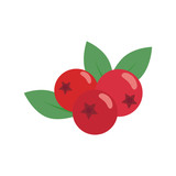 Fototapeta Pokój dzieciecy - Cranberry isolated on white background. Vector illustration. Flat design.