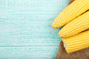 Corn on a blue background