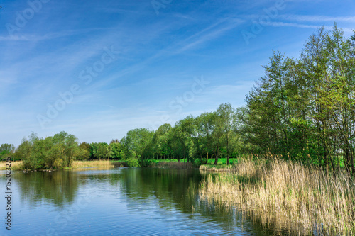 Fotografía Nature conservation area with trees a small lake at sunshine and blue sky