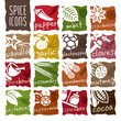 © raksitar - Spice icon set.