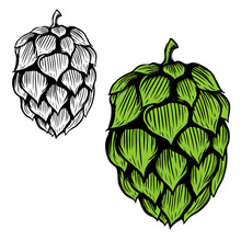 Beer Hop Illustration On White Background. Design Element For Logo, Label, Emblem, Sign. Vector Illustration