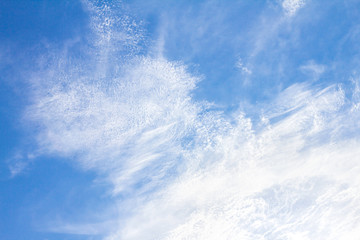 Wall Mural - the brigth blue sky background on the day