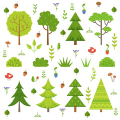 Poster - Different forest plants, trees mushrooms and other floral elements. Cartoon vector illustration isolate on white