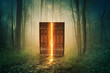 Glowing door in forest