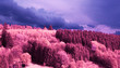 Infrared Landscape