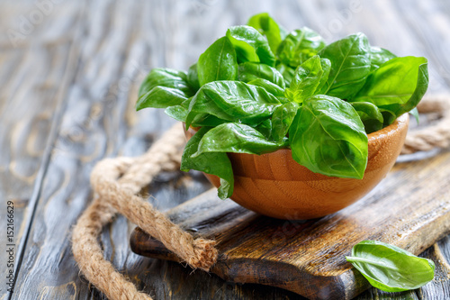 Cuadros en Lienzo Green basil leaves in a wooden bowl.