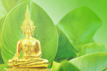 Buddhism statue ,field of green tree and sun in morning