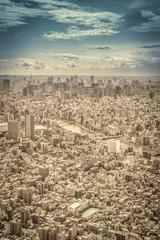 Canvas Print - Tokyo skyline, aerial view, Japan. Vintage tone