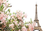 Fototapeta Miasta - Eiffel tower and pink flowers