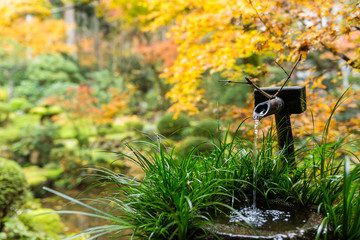 Sticker - Water bamboo in japanese temple at autumn season