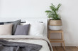 Bedroom interior bed and bedside table with plant