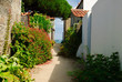 flowered alley on the isle of Noirmoutier with view on the sea