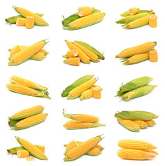 Canvas Print - Corn on a white background