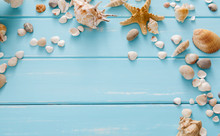 Seashells On Blue Wood, Sea Vacation Background