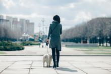 Owner And Her Cute Dog Walking In City