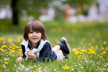 Wall Mural - Sweet child, boy, gathering dandelions and daisy flowers