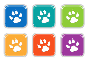 Wall Mural - set of squared colorful buttons with pet footprints symbol in blue, green, yellow, orange and purple