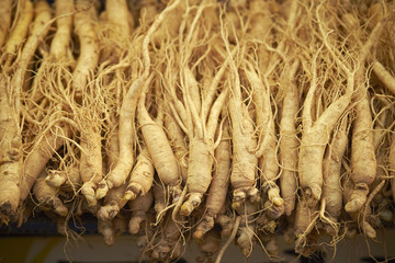 Wall Mural - ginseng