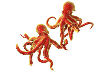 Octopuses holding hands of each other isolated on white background, 3D illustration