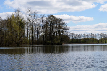 Wall Mural - lake view spring time