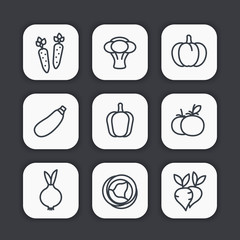 Canvas Print - Vegetables line icons set