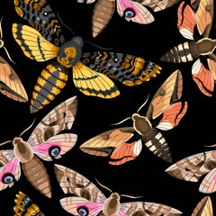 Canvas Print - Flying moths seamless