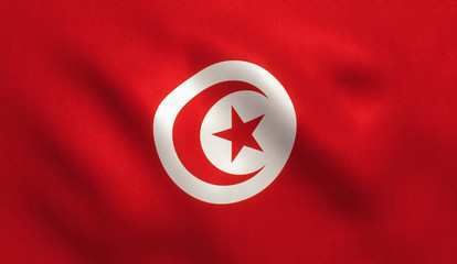 Wall Mural - Tunisia Flag