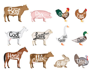 Wall Mural - Vector farm animals collection. Butchery icon templates