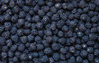 Background from fresh Blackberries