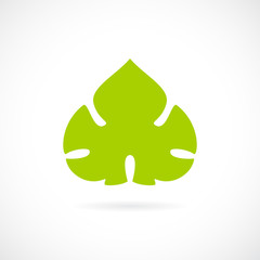 Canvas Print - Grape green leaf icon