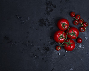 Wall Mural - tomatoes with cooking ingredients