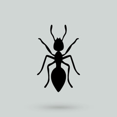 Wall Mural - ant icon