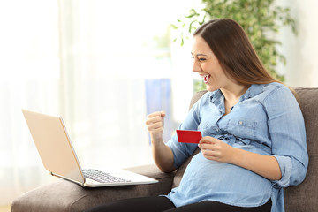 Wall Mural - Excited pregnant woman buying on line