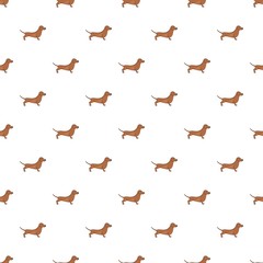 Poster - Dachshund dog pattern, cartoon style 