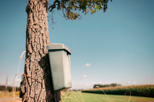 Vintage Dutch Mailbox Attached To Tree In Rural Summer Landscape.