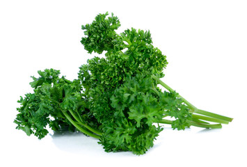 Parsley isolated on a white background