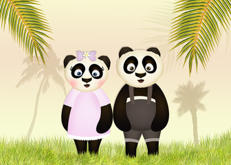 Wall Mural - couple of panda in the forest