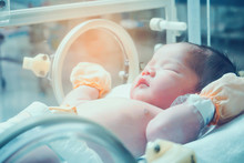 Newborn Baby Girl Inside Incubator In Hospital Post Delivery Room