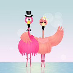 Canvas Print - pink flamingos spouses