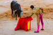 Matador and bull in tourada bullfight - Moita Lisbon Portugal
