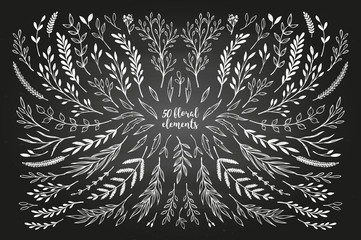 Wall Mural - Hand sketched vector vintage elements ( laurels, frames, leaves, flowers, swirls, branches). Chalkboard background. Summer collection. Perfect for invitations, greeting cards, posters, prints